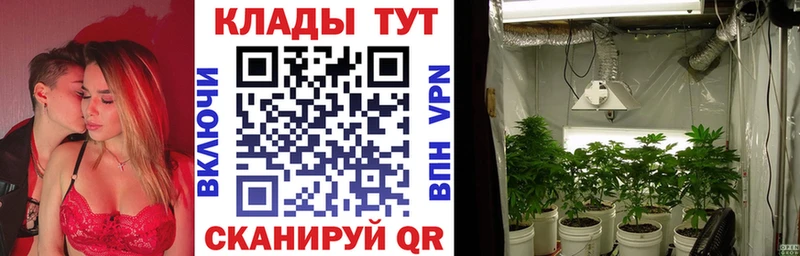 Сколько стоит Нерчинск Alpha PVP  Каннабис  Cocaine  Мефедрон  Гашиш 