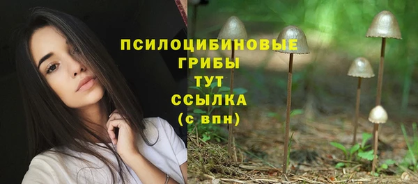 синтетический гашиш Куйбышев