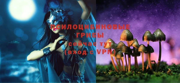 гидропоника Кулебаки