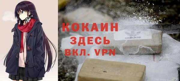 стаф Ельня