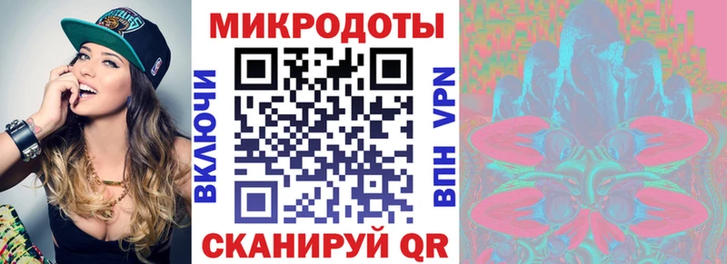 закладка  Нерчинск  Галлюциногенные грибы GOLDEN TEACHER 